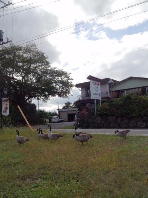 Yagisakien Hotel Fujikawaguchiko Luaran gambar